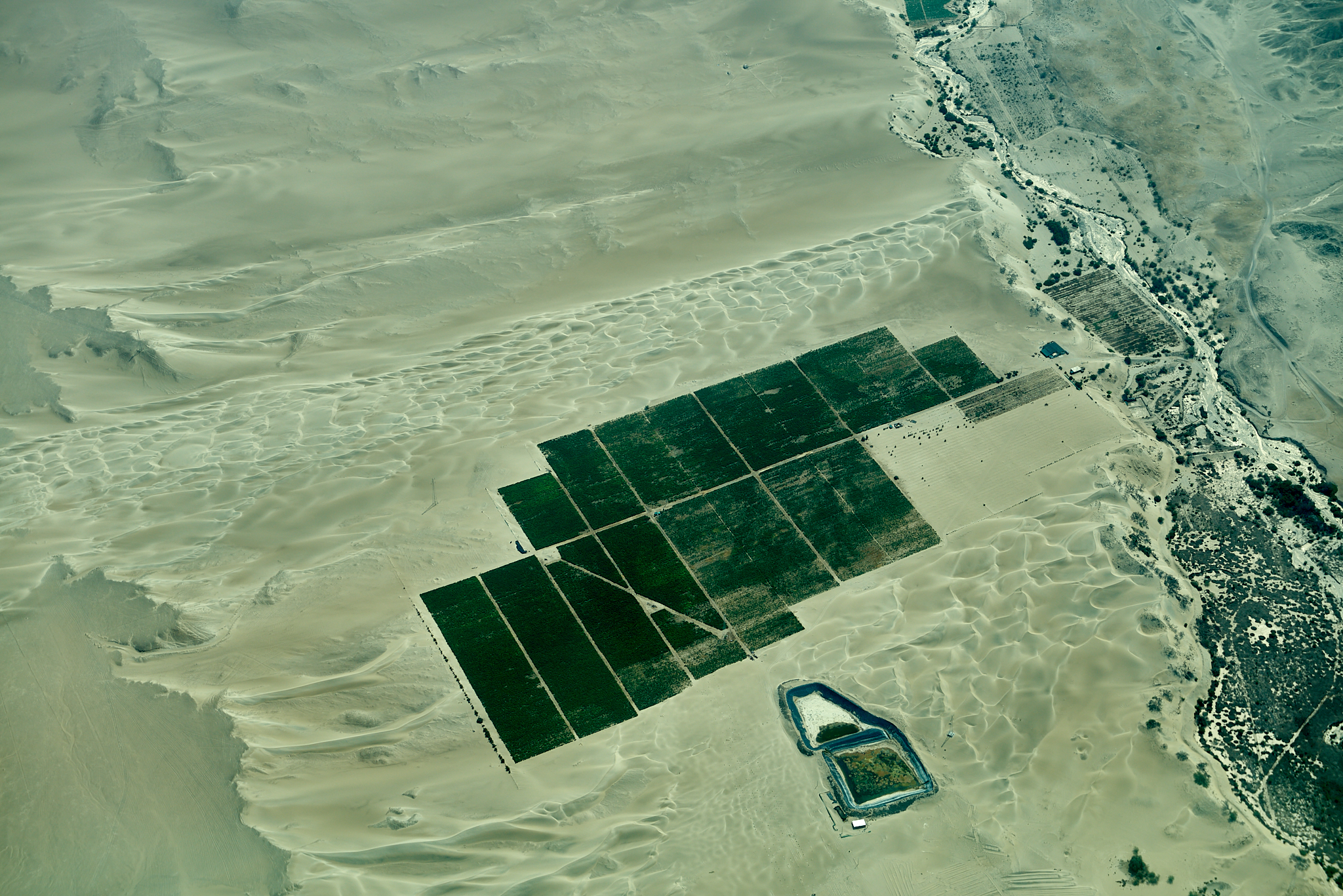 20200305 240 [페루] 나스카 라인